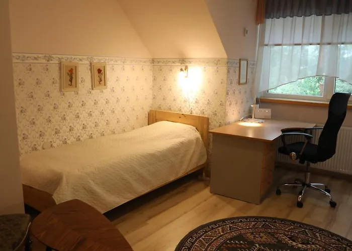 Tiigi * Таллінн