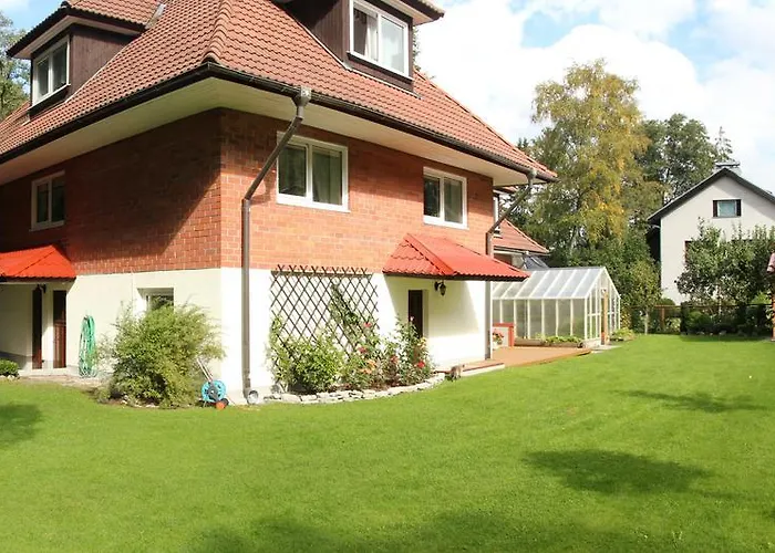 Tiigi * Таллінн